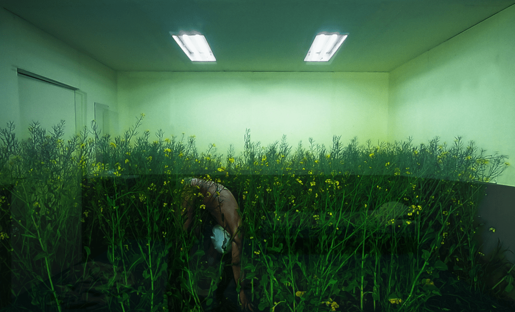 S. 3 / Ep. 5 –&nbsp;NATURAL